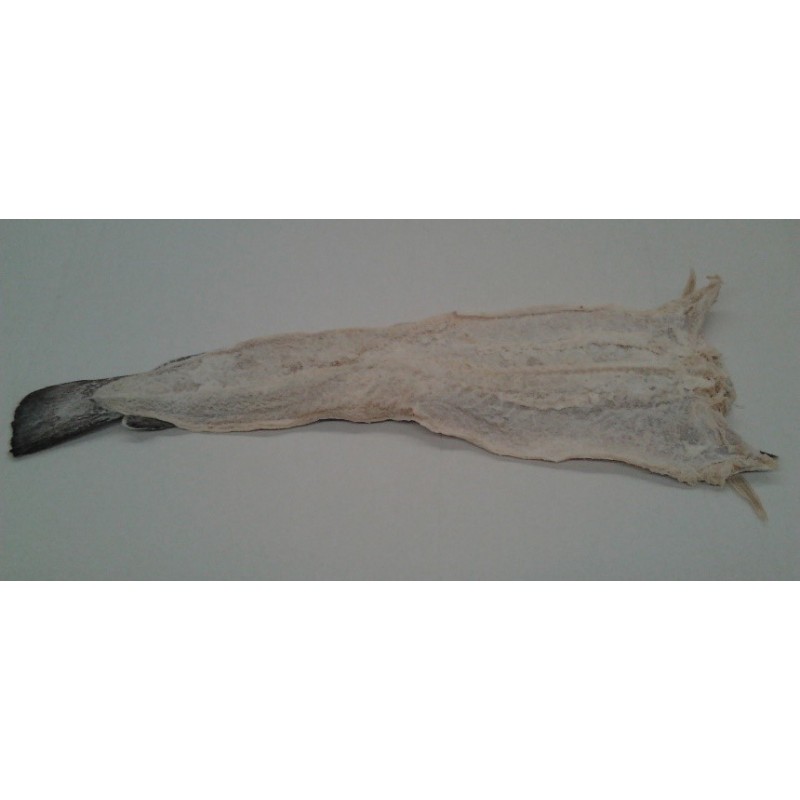 Julienne 3/6 Portugal