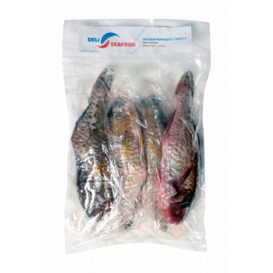 Poisson pérroquet entier