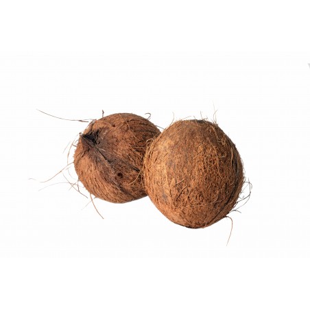 IVORY COAST COCONUT