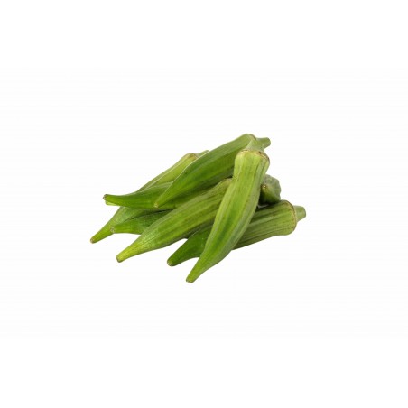 HONDURAS OKRA