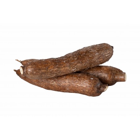 COSTA RICA CASSAVA