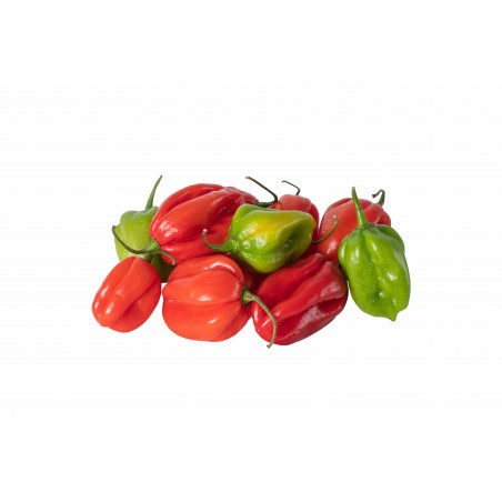 MARTINIQUE HOT PEPPER