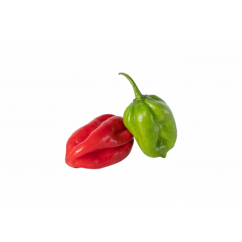 HOT PEPPER
