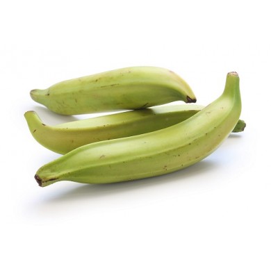 Plantain tournante verte