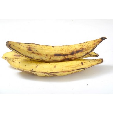 Plantain tournante jaune