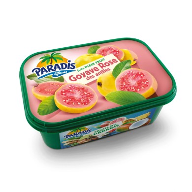 Paradis Glaces Guava sorbet