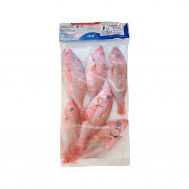 French Guiana Snappers...