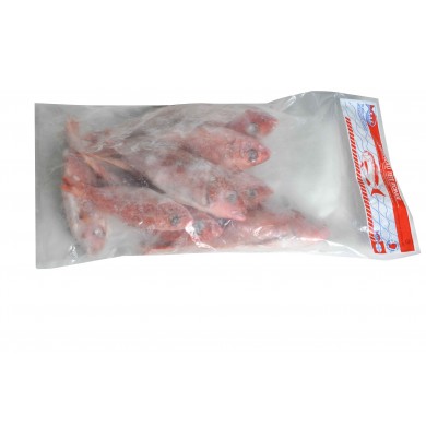 Vivaneaux téte ronde Guyane