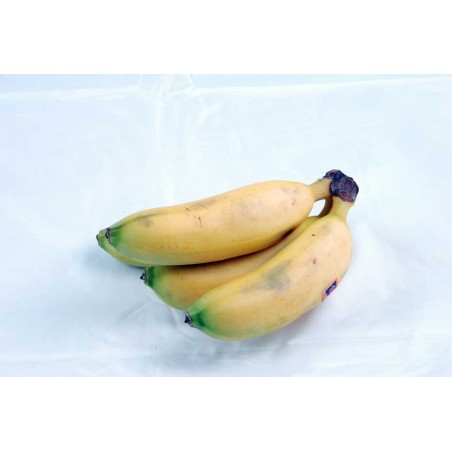 MARTINIQUE APPLE BANANA