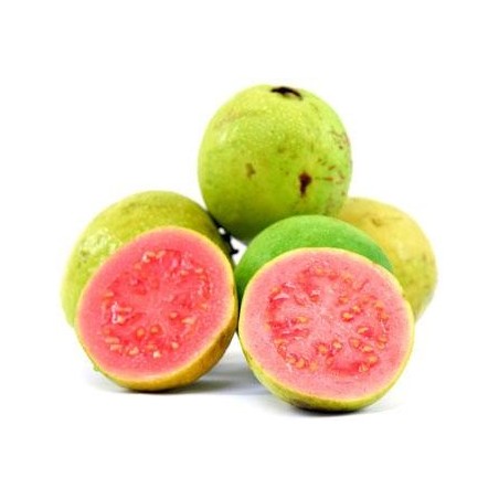 MARTINIQUE GUAVA