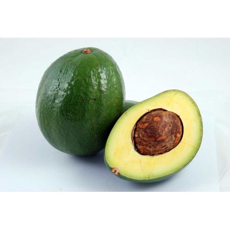 AVOCAT SAINT DOMINGUE