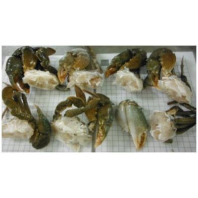 CRABE CRU CALIBRE M 1kg GEL PECHE