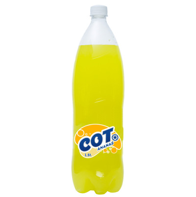 LIMONADE BOUTEILLE ANANAS 1L5 COT
