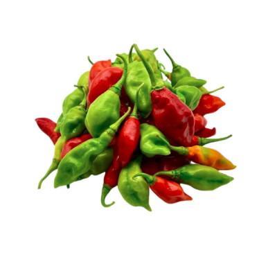 PIMENT VEGETARIEN 2kg
