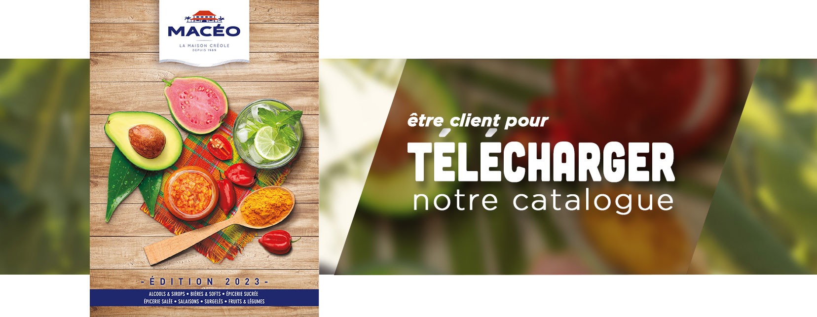 Etre client pour téléchargez notre catalogue, pour visiteur